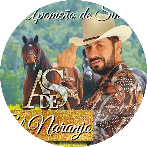 El Apomeño De Sinaloa