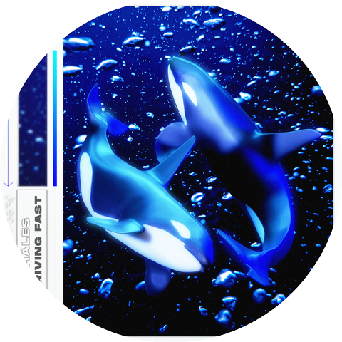 2Whales