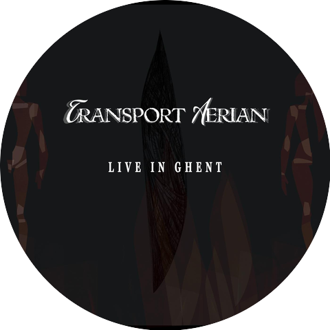 Transport Aerian