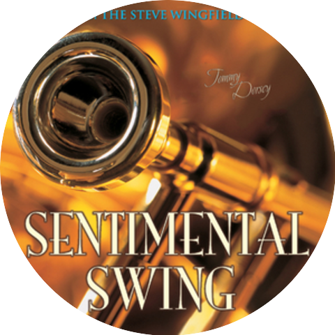 The Steve Wingfield Band