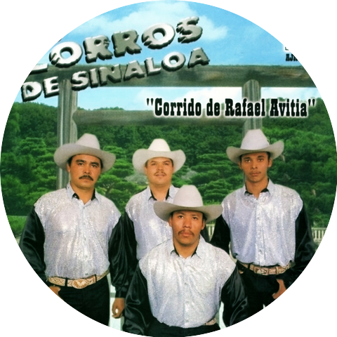 Los Zorros De Sinaloa
