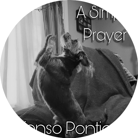 Alfonso Ponticelli