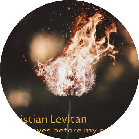 Christian Lévitan