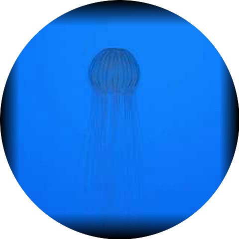 Female Bureau of Investigation