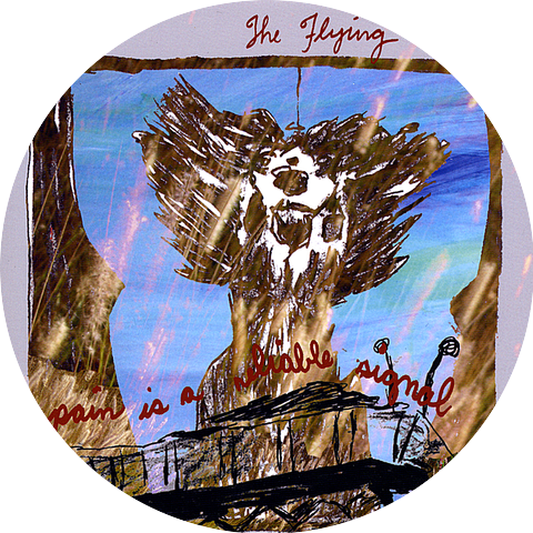 The Flying Change
