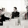Trio di Parma