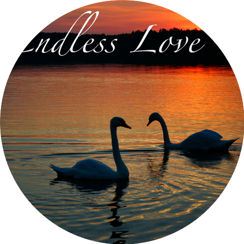 Love Spectacular