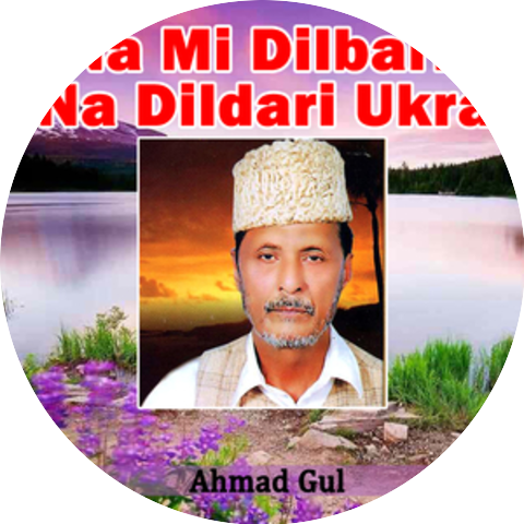 Ahmad Gul