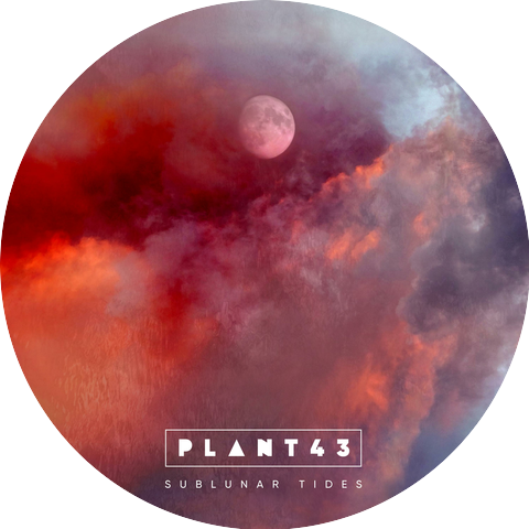 Plant43