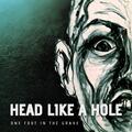 Head Like a Hole