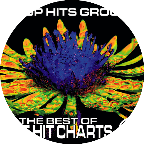 Top Hits Group