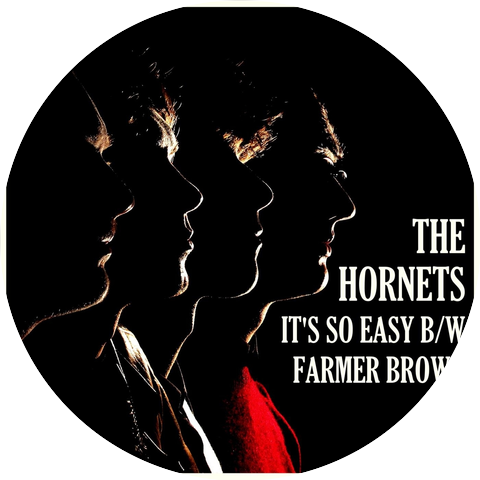 The Hornets