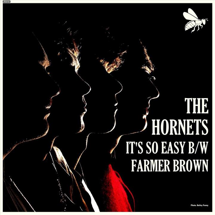 The Hornets