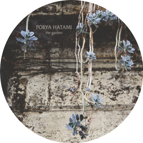 Porya Hatami