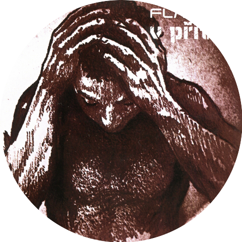 Flattus