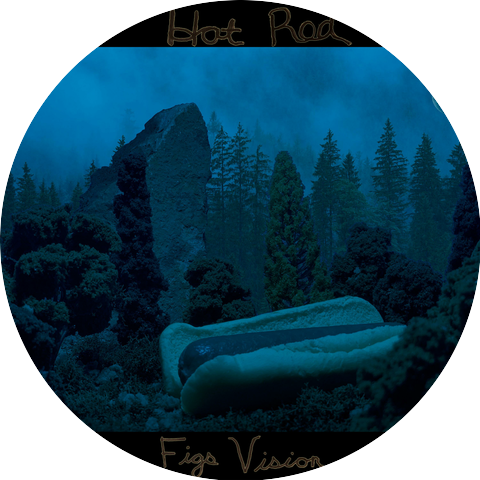 Figs Vision