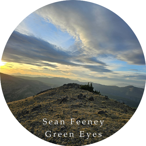 Sean Feeney