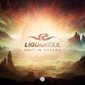 Liquid Soul