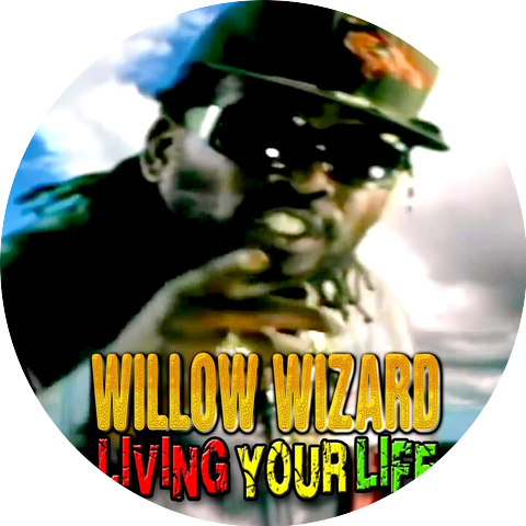 Willow Wizard