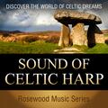 The Celtic Travellers