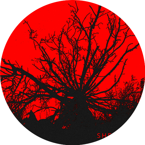 The Sheltered