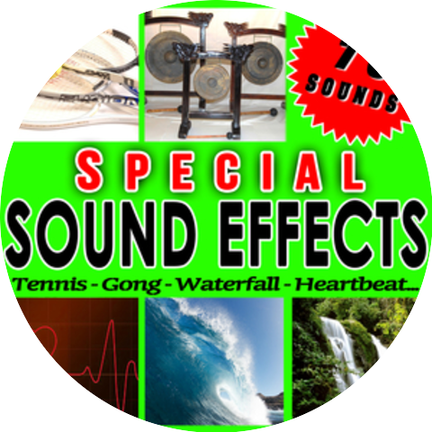 Sfx Professional Resource Studio