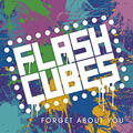 The Flashcubes