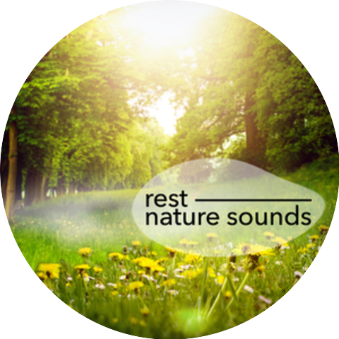 Rest & Relax Nature Sounds Artists