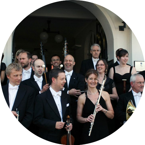 Orchestra of the Swan
