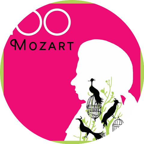 Mitglieder des Sinnhoffer Kammerorchesters München