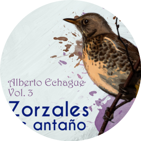 Alberto Echague