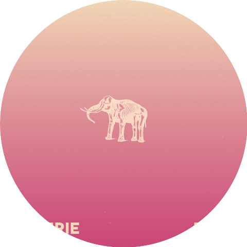 The Elephant Sessions
