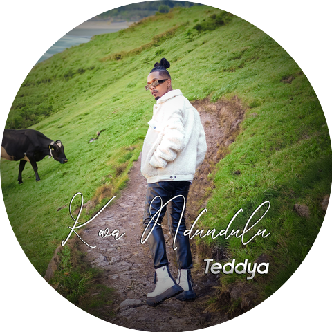 Teddy-A