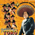 Banda Toro