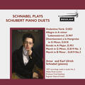 Arthur Schnabel, Karl Ulrich Schnabel