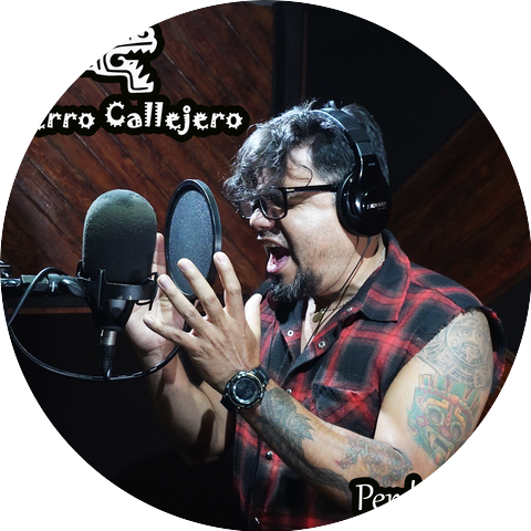 Perro Callejero