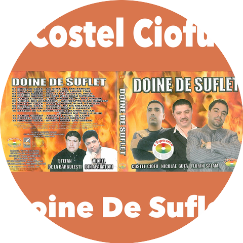 Costel Ciofu