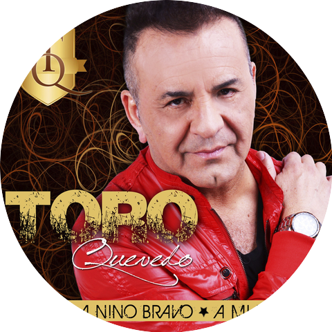Toro Quevedo
