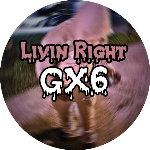 GX6