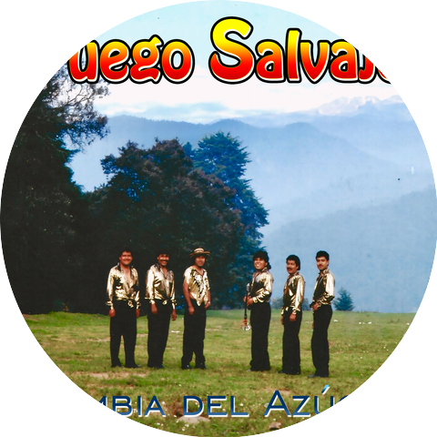 Fuego Salvaje