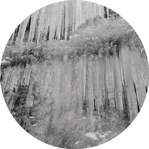 Froz