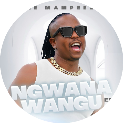 Vee Mampeezy
