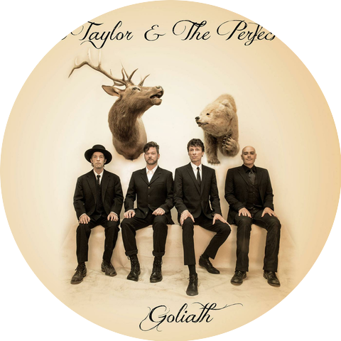 Steve Taylor & The Perfect Foil