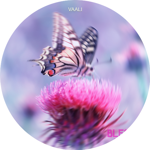 Vaali