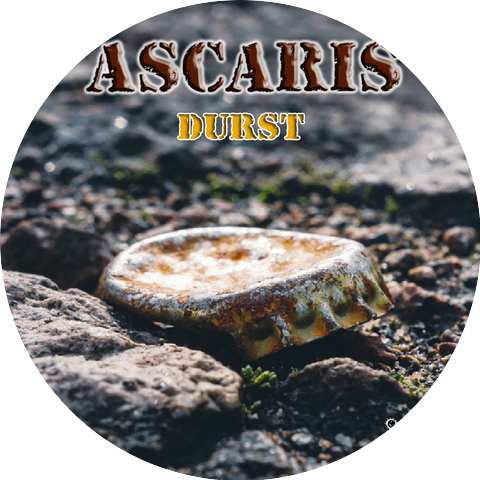 Ascaris