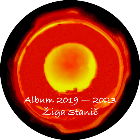 Žiga Stanič