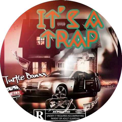 Turtle Banxx