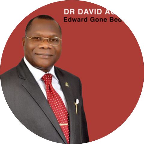Dr David Agbaje