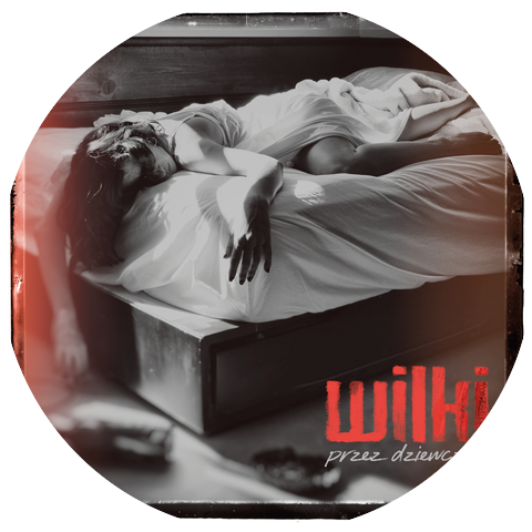 Wilki