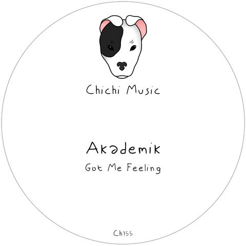 Akademik